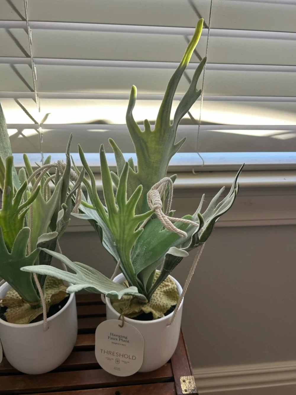 NWT Threshold Green Faux Staghorn Ferns in White Hanging Pots - Set of 2